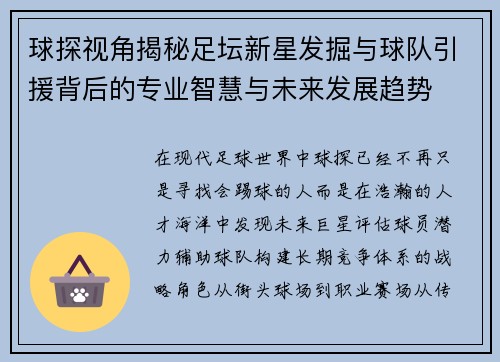 球探视角揭秘足坛新星发掘与球队引援背后的专业智慧与未来发展趋势